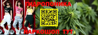 молекула духа Обнинск