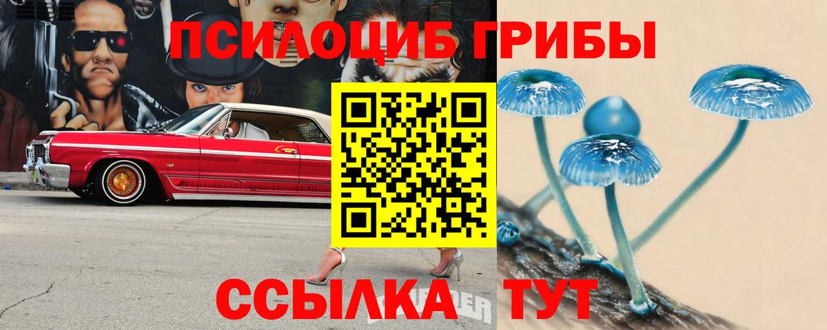Псилоцибиновые грибы GOLDEN TEACHER  Вход с VPN  Сергиев Посад 